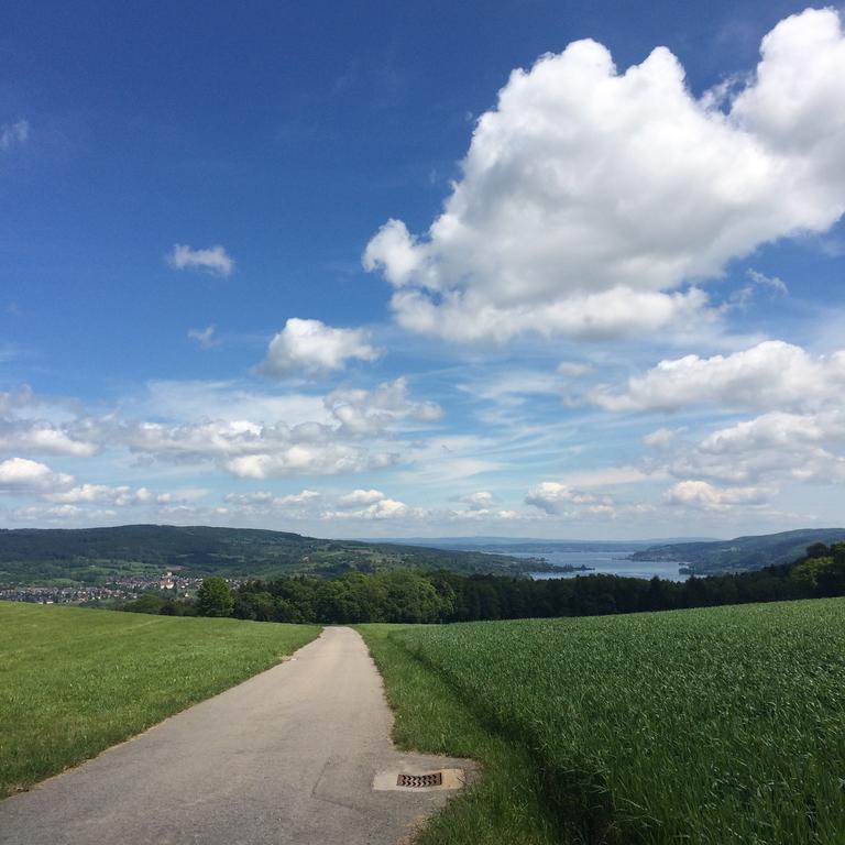 B&B Stein Am Rhein Exteriér fotografie
